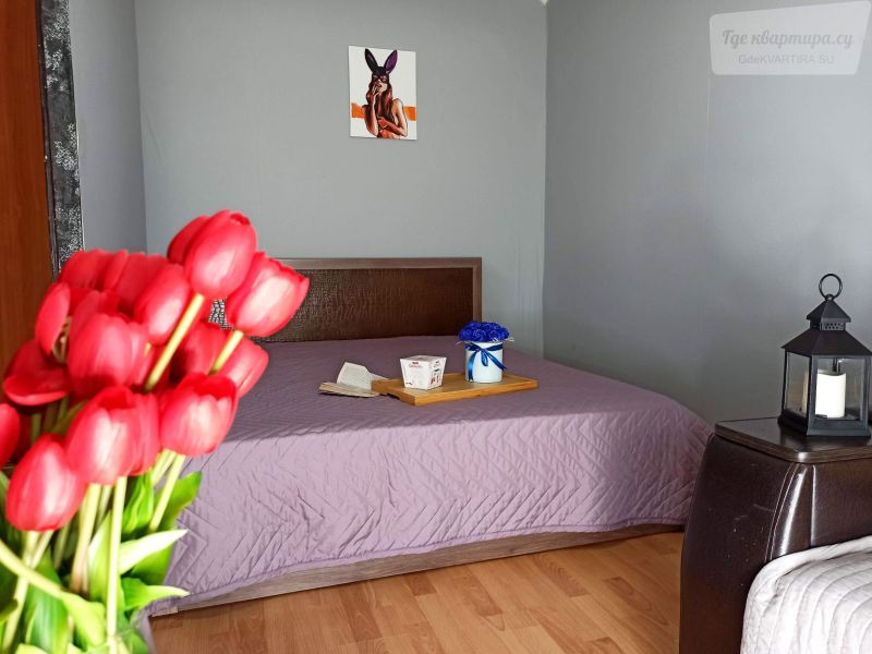 улица Адоратского, 52